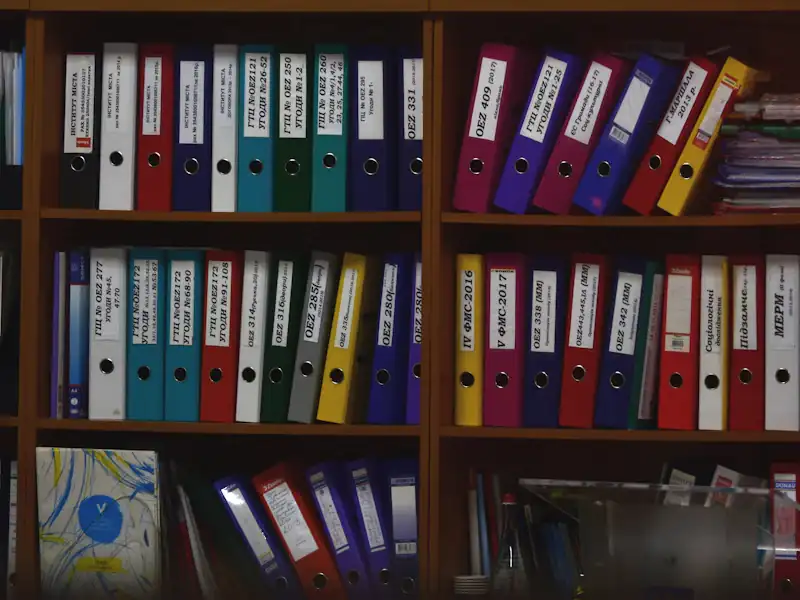 Rows of colourful ring binders organised on office shelves